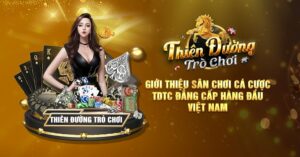 Giới Thiệu Sân Chơi Cá Cược TDTC Đẳng Cấp Hàng Đầu Việt Nam
