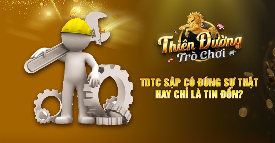 TDTC Sập Có Đúng Sự Thật Hay Chỉ Là Tin Đồn?