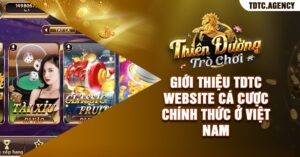 Giới Thiệu TDTC Website Chính Thức Ở Việt Nam