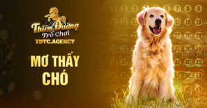 giải mã giấc mơ thấy chó